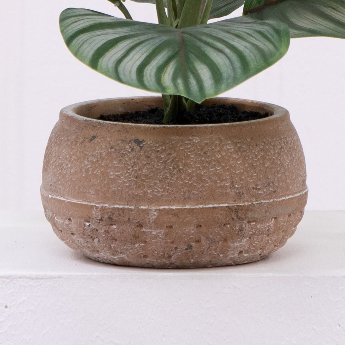Better Homes & Gardens 9.5"H Artificial Indoor Calathea in Stone Planter