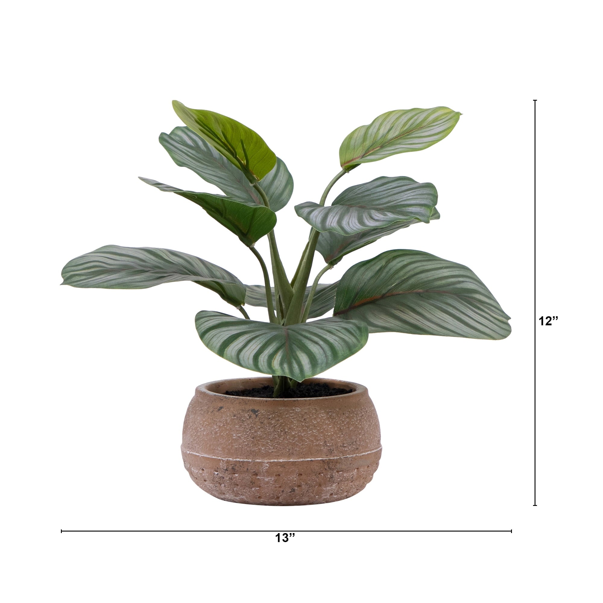 Better Homes & Gardens 9.5"H Artificial Indoor Calathea in Stone Planter